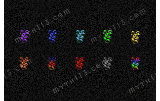 D20260126A21-10ɫ�ϳ���-���ڵ����ز�