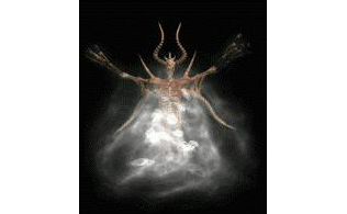 D20260127B04-ī��˹��(����|��ɫ)-���ڹ����ز�