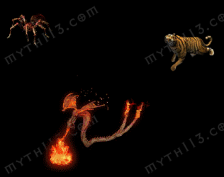 D20260117K-��������֩���ϻ�-���ڹ����ز�