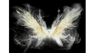 D20260124A18-�������-���ڳ���ز�