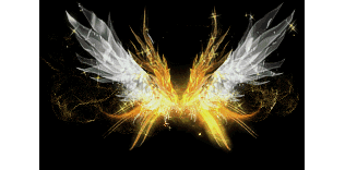 D20260124A23-�������-���ڳ���ز�