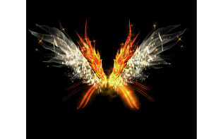 D20260124A21-���쾧��-���ڳ���ز�