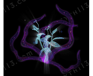 D20260117A3-������-���ڹ����ز�