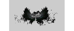 ��������-D20260124A19-��ӥ-���ڳ���ز�