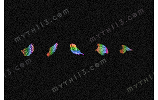 D20260127C21-5����ë��Ƭ-���ڵ����ز�