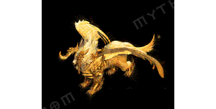 D20260117Y-�ƽ����-���ڹ����ز�