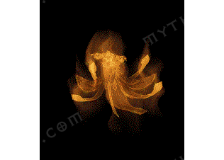 ����-D20260117R-��ɫ���-���ڹ����ز�