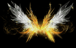 QQ20260124-204555.png