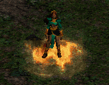 QQ20260125-134431.png