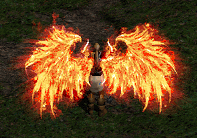 QQ20260125-172447.png