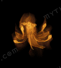 QQ20260117-160627.png