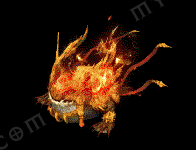 QQ20260120-193351.png